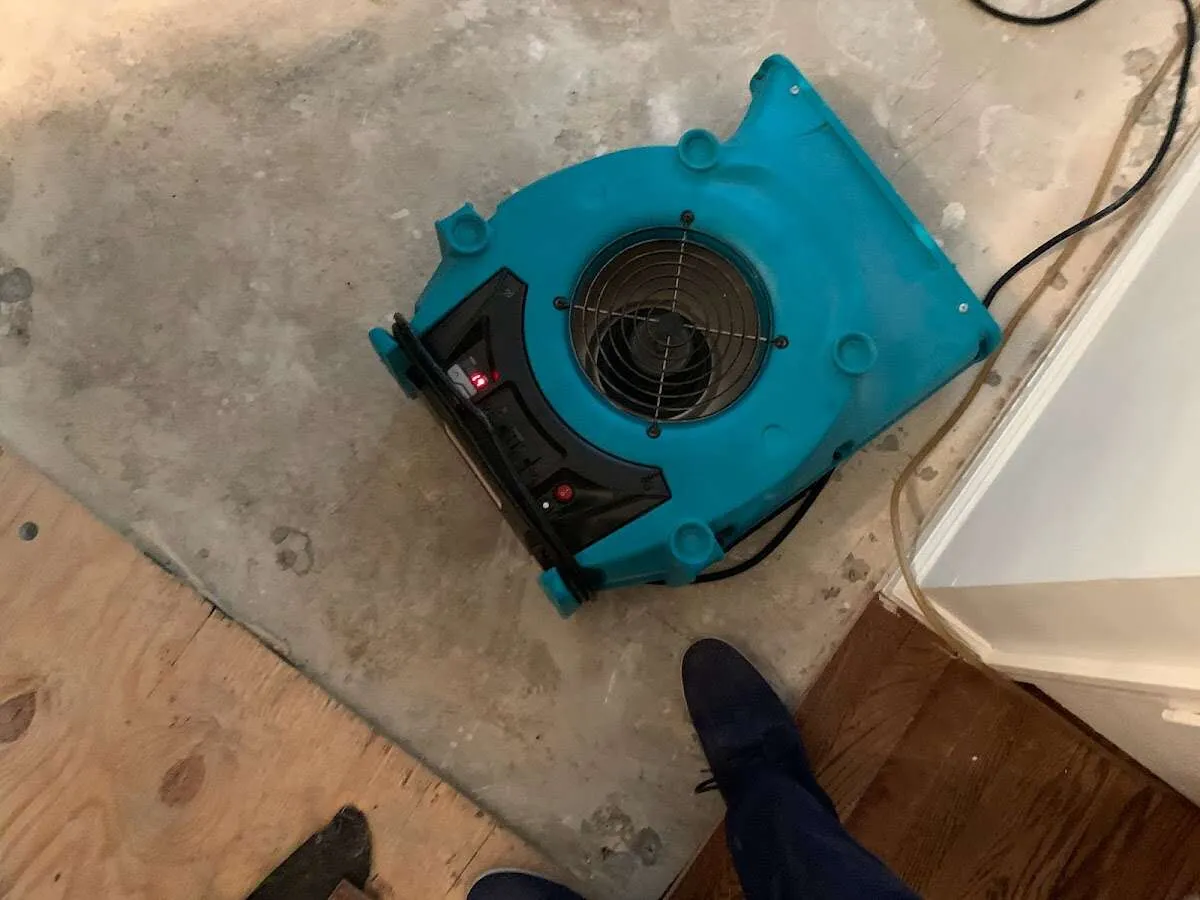 Air mover drying subfloor during Leak Detection & Repair in Mount Kisco